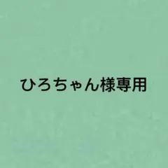 ひろちゃん様専用