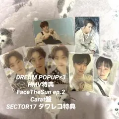 SEVENTEEN DINO ディノ まとめ売り