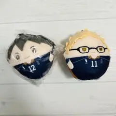 月島　山口　ちみっともぬい　ハイキュー　マスコット　ぬいぐるみ　サンリオ　蛍　忠 月島 蛍】ハイキュー!! ぷちぬいぐるみマスコットvol.1