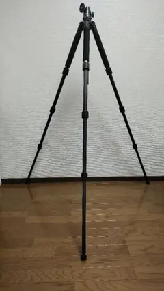 Item thumbnail for item 888e79d4-5d21-44f2-b205-35765a70309b