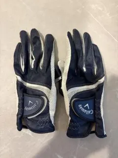 Item thumbnail for item 341f6dbf-c674-4174-984f-e09351a826fa