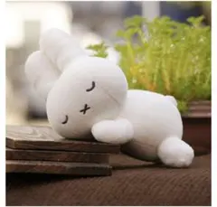 すやすやフレンド　ミッフィー Sサイズ