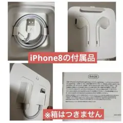 USBケーブル・イヤフォン・Lightningケーブルセット　【iPhone8】