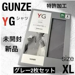 2枚】GUNZE Vネックシャツ LL メンズ YGシャツ グレー グンゼ XL