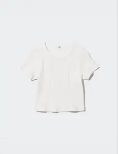 Item thumbnail for item be681e1d-dbe3-4aae-86a0-e6f265837aed