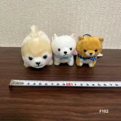 まるたま豆しば三兄弟　3個セット