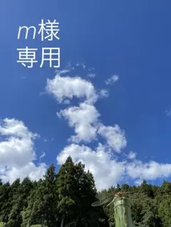 【専用】アクリルハート　クリア　サイズM 20枚セット