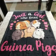 Item thumbnail for item b184bec1-623a-4b76-ad66-48d61841da2b