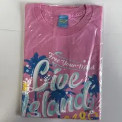 Item thumbnail for item 035f672f-8779-4a1b-9da4-1cffaa2d261b