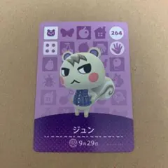 【新品未使用】あつまれどうぶつの森 amiibo ジュン