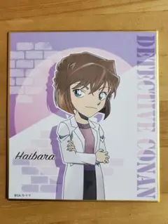 名探偵コナン 灰原哀 トレーディングミニ色紙