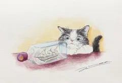 猫の絵　原画