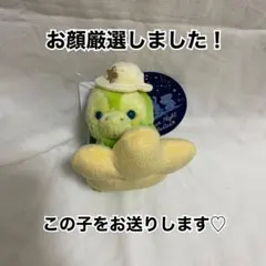 【新品未使用】サマーナイトメロディー オルメル　ぬいぐるみチャーム