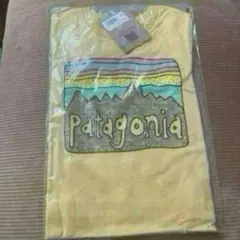 新品　パタゴニア キッズ　Tシャツ