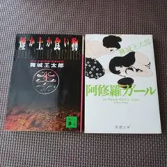 舞城王太郎 文庫初版2冊セット