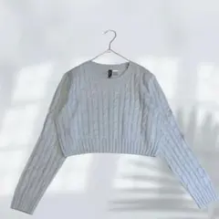 ディヴァイデッド H&M ニット セーター ショート丈 くすみカラー E7342