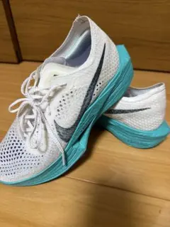 Item thumbnail for item a3e581a1-bd9a-40c8-af2a-57a953c2e70b