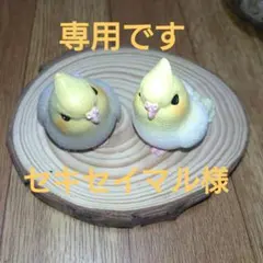 セキセイマル様専用商品です