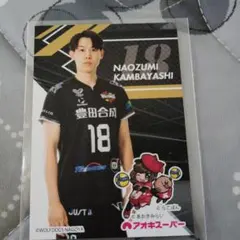 2枚セット❣️】ウルフドッグス名古屋 佐藤駿一郎 豊田昇平 トレカ