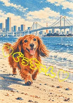 《一点限り》東京・お台場のレインボーブリッジを背景に走るミニチュアダックスフンド