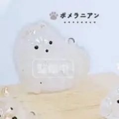 うちのこけだまだま　ポメラニアン