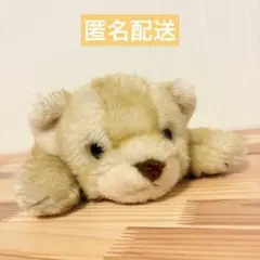 Item thumbnail for item 31fa8fb7-bc89-49c6-a6d5-1f02743a9959