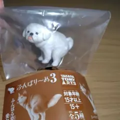 ふんばりーぬ3 ペキニーズ　ふんばり〜ぬ