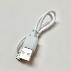 USB to Type Cケーブル　ホワイト　25cm