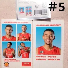 アイザイアマーフィー選手証明写真風ステッカー ダイヤモンドドルフィンズ