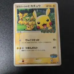 2026年最新】ポケモンカード ポケパークのピカチュウ 043/pcg-pの人気