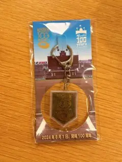 【新品未使用】甲子園の土100周年記念 キーホルダー