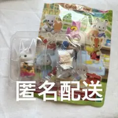 シルバニアファミリー 赤ちゃん工作だいすきシリーズ　海外版 シークレット