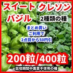 スイートバジル＆クレソンの種セット⭕️非遺伝子組み換えの種