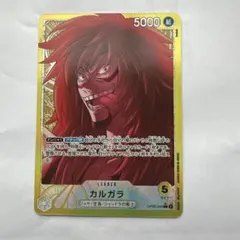 2026年最新】カルガラ リーダーの人気アイテム - メルカリ