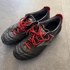 Item thumbnail for item 6ef61156-a902-417f-a478-4974eddcafc6