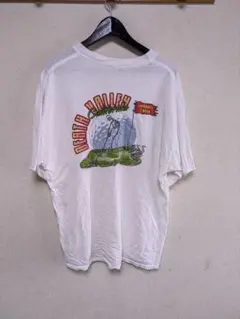 ☆ビンテージ グレートフロッグTHE GREAT FROG Tシャツ長瀬着80s