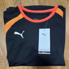 Item thumbnail for item 81f43346-b42d-4ffd-bb5c-20a9a5490a74