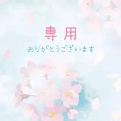 ◆未使用◆セリーヌ ハンカチ 鳥 蝶 南国 タッセル 刺繍 リング ロープ