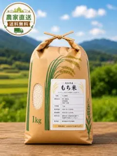 高知県産もち米 １５キロ Ｒ7年11月精米香り豊か！✨粘り良し！✨ 高知県産もち米 3キロ R7年11月精米香り豊か！✨粘り良し！✨ - メルカリ
