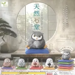 天然石堂〜ふくろう〜全5種コンプリートのサムネイル
