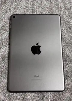 Apple iPad mini スペースグレー 第5世代【箱・コード付き】