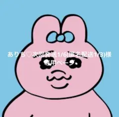 ありち♡次回発送1/6(匿名配送1/3)様専用ページ