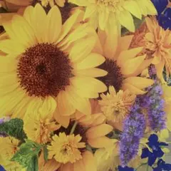 junzo 様　専用です。