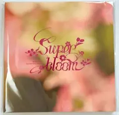 スタフォニ 4th グッズ特典 ミニパンフレット