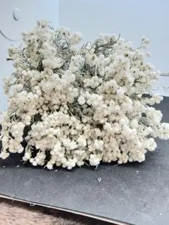 ちょい長めカワラハハコ　ドライフラワー100本+α 66