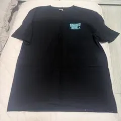 Item thumbnail for item a3c32753-a729-420e-8635-a04cceb703ec