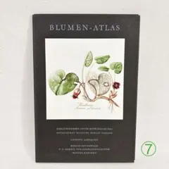 2026年最新】elsa felskoの人気アイテム - メルカリ