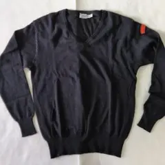 Item thumbnail for item e578eacf-63de-4646-a2d5-52b9a11db156