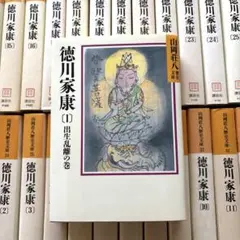2026年最新】徳川家康 山岡荘八の人気アイテム - メルカリ