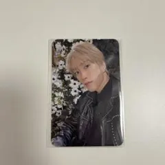 藤原樹　トレカ